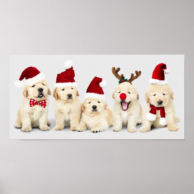 Poster Puppies adorables (Festive dogs' ready for the Christmas Holiday!)