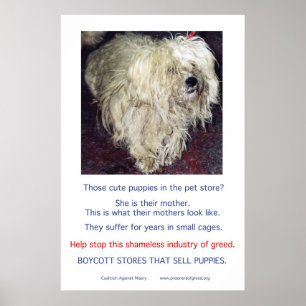 Poster Puppy Mills brasse l'affiche Misery