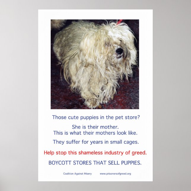 Poster Puppy Mills brasse l'affiche Misery (Devant)