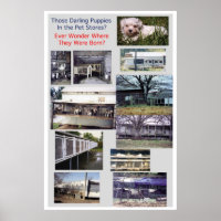 Puppy Mills brasse l'affiche Misery