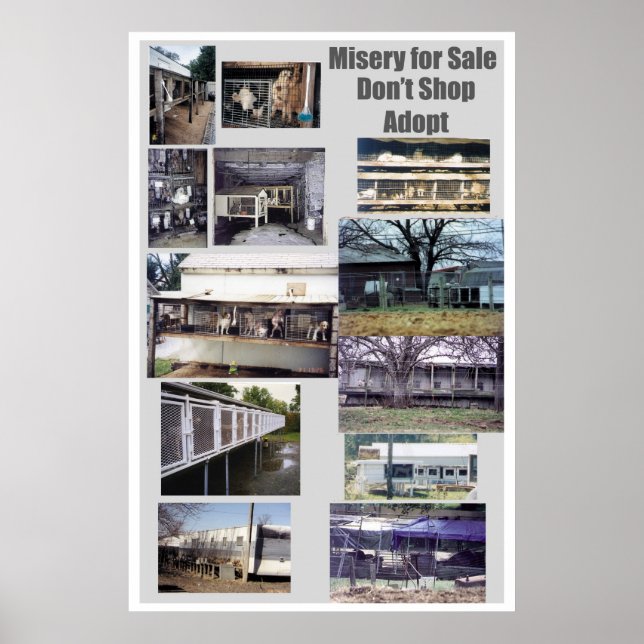 Poster Puppy Mills brasse l'affiche Misery (Devant)