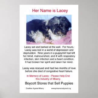 Poster Puppy Mills brasse l'affiche Misery