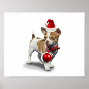 Poster Puppy with christmas a et balle