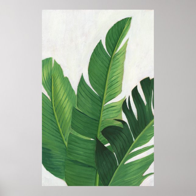 Poster Pura Vida - Feuilles tropicaux (Devant)