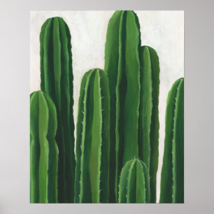 Poster Pura Vida - Groupe Cactus
