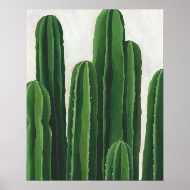 Poster Pura Vida - Groupe Cactus (Devant)