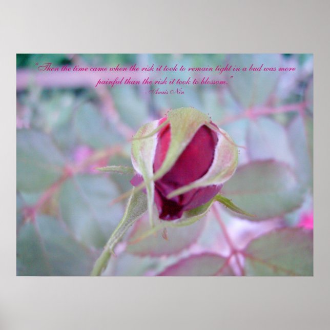 Poster Pure Elegance (Devant)