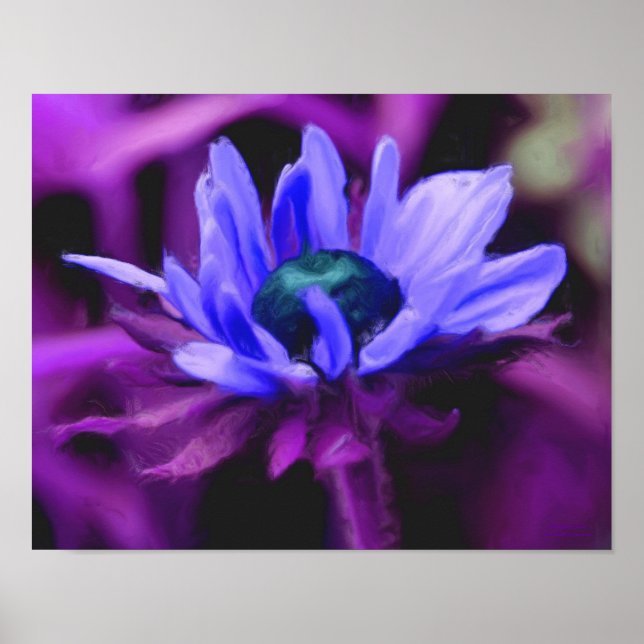 Poster Purple Black Eyed Susan Flower peinture photo (Devant)