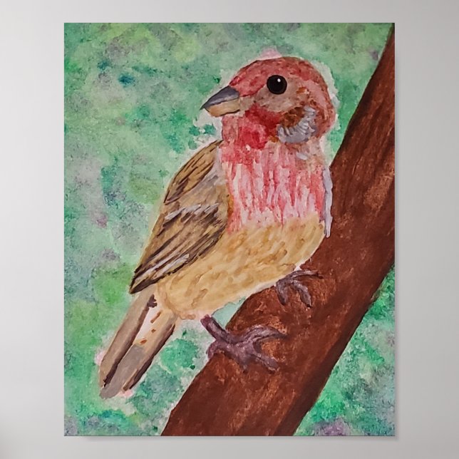Poster Purple Finch  (Devant)