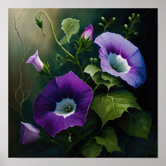 Poster Purple Morning Glory Art Imprimer l'affiche (Devant)
