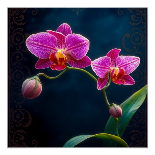 Poster purple orchids (Devant)