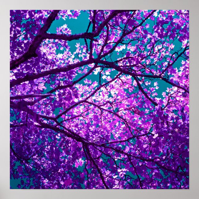 Poster Purple tree II (Devant)