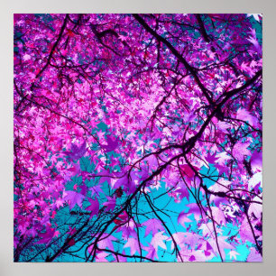 Poster Purple tree XI