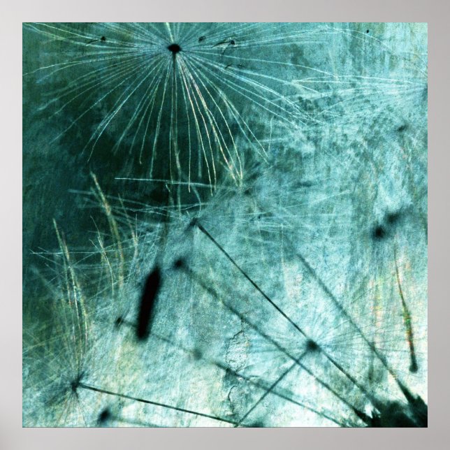 Poster Pusteblume Kunst (Devant)