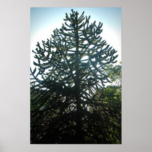 Poster Puzzle de singe