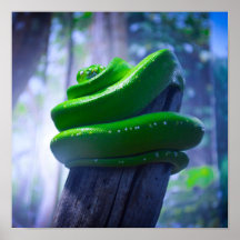 Poster Python Arbre Vert (A)