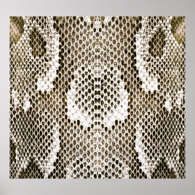Poster Python Skin : Design Motif animal (Devant)