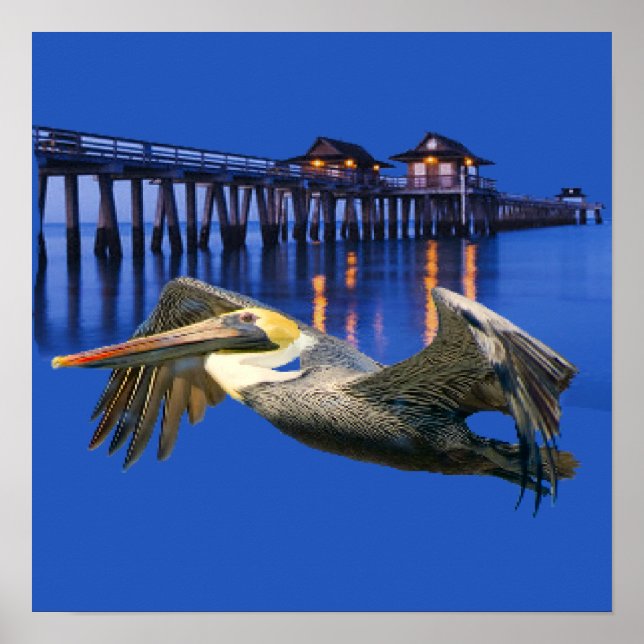 Poster Quai Pelican (Devant)