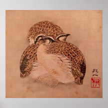 Quail Trio