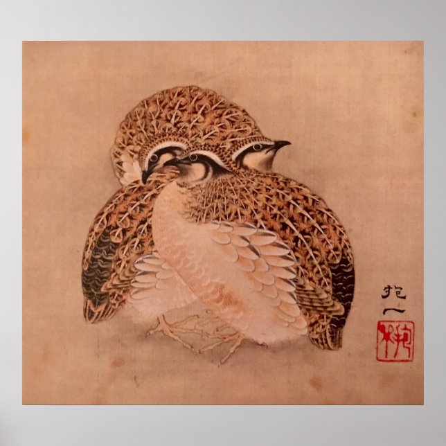 Poster Quail Trio (Devant)