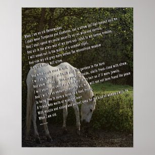 Poster Quand je suis une vieille amazone III