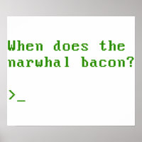 Quand la question Reddit VGA de Narwhal Bacon
