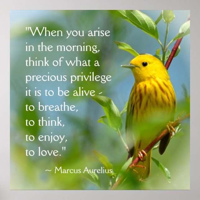 Poster Quand Vous Aristez Marcus Aurelius Citation Inspir (Devant)