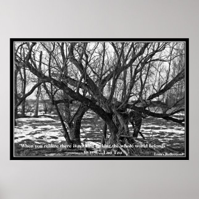 Poster "Quand vous réalisez qu'il n'y a rien de manquant. (Devant)