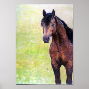 Poster Quartier en peau de boule Cheval Halter Horse Port