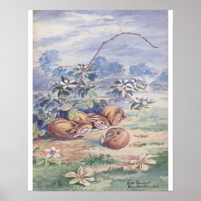 Poster Quatre lapins couchés 16 X 20 tirage (Devant)