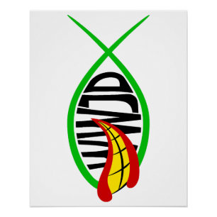 Poster Que ferait Joker ?