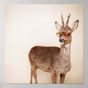 Poster Que regardez-vous ?