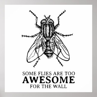 Poster Quelques mouches