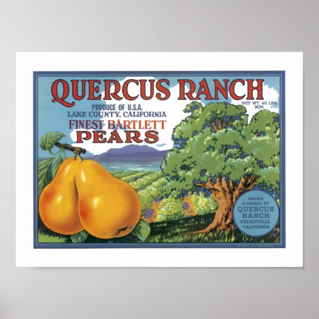 Poster Quercus Ranch Bartlett Pears (Devant)