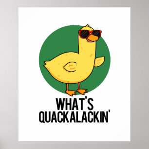 Poster Qu'est-ce que Quackalackin Canard Drôle de Plaisan