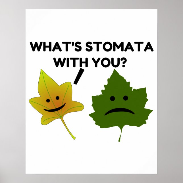 Poster Qu'est-ce que Stomata avec toi ? (Devant)