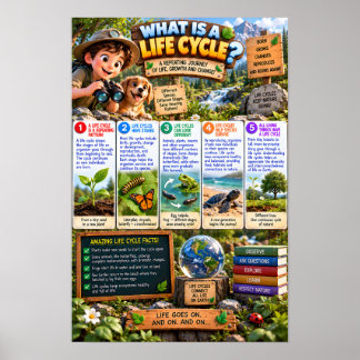 Poster Qu'est-ce qu'une infographie de cycle de vie