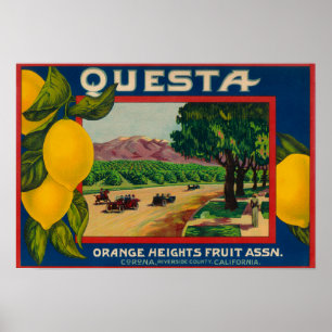 Poster Questa Lemon LabelCorona, CA