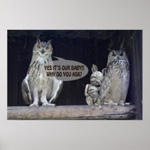 Poster Question stupide