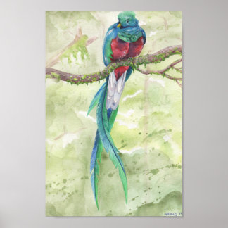Poster Quetzal en voie de disparition