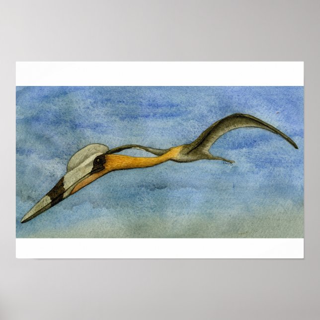 Poster Quetzalcoatlus (Devant)