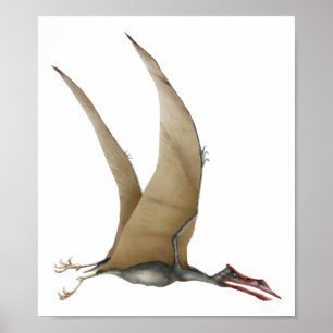 Poster Quetzalcoatlus