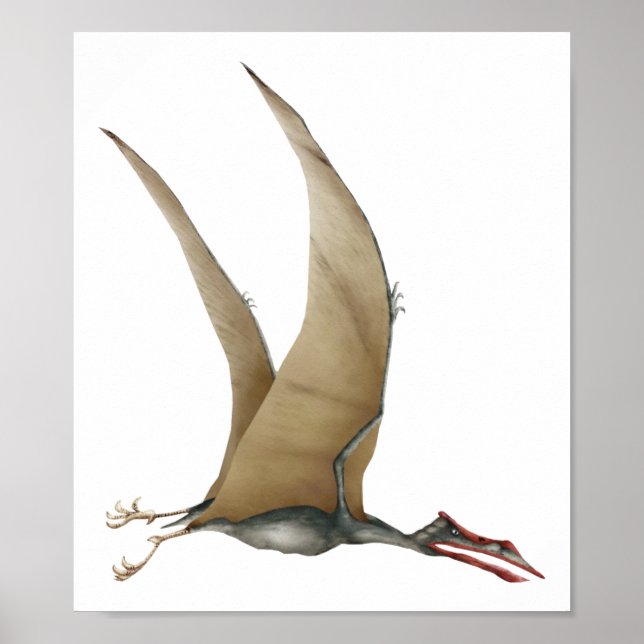 Poster Quetzalcoatlus (Devant)
