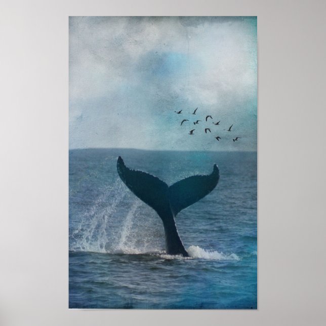 Poster Queue de baleine (Devant)