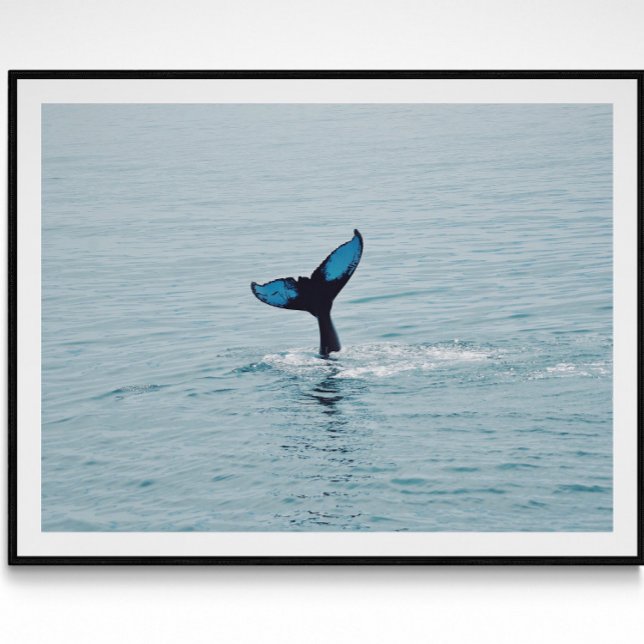 Poster Queue de baleine à bosse du Maine (Créateur téléchargé)