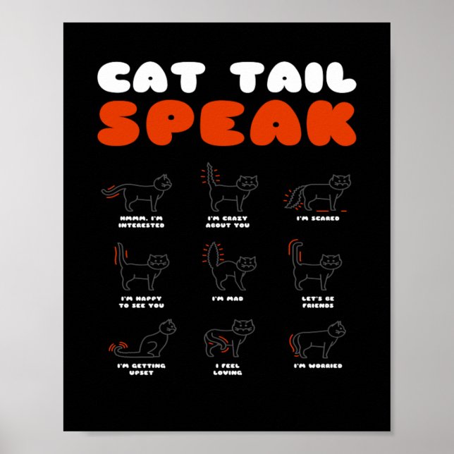 Poster Queue de chat Parler Chat Kitten Meow Animal (Devant)
