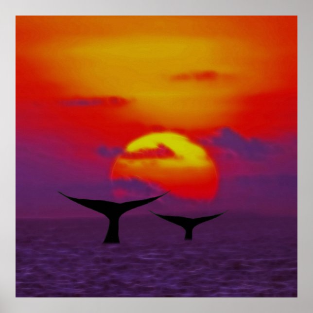 Poster Queues de baleines au coucher du soleil (Devant)