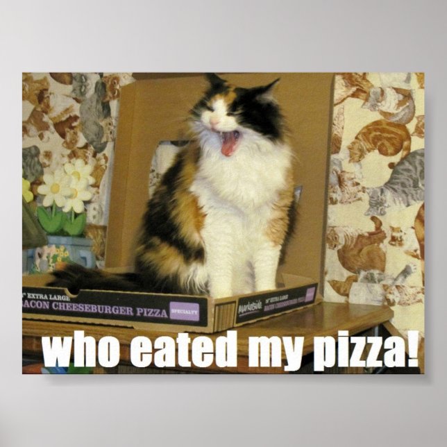 Poster qui a mangé ma pizza ? Mème de chat drôle (Devant)