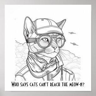 Poster Qui dit que les chats ne peuvent pas atteindre le 