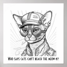 Qui dit que les chats ne peuvent pas atteindre le 